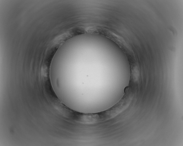 X0000113920571200910090939