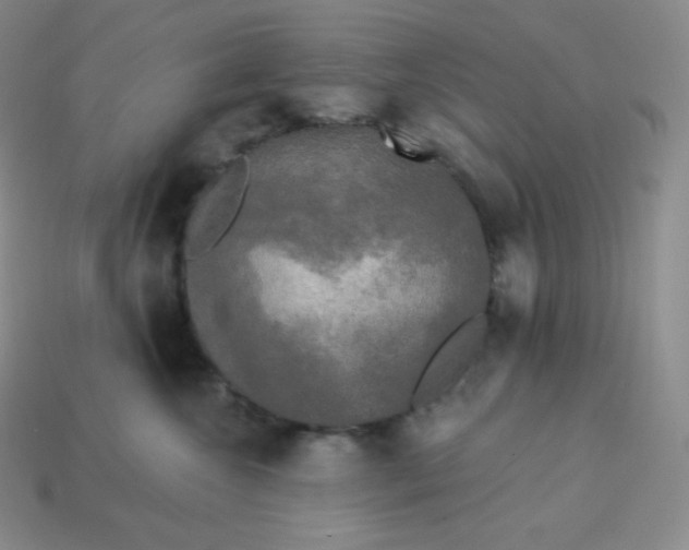 X0000113920572200910090939