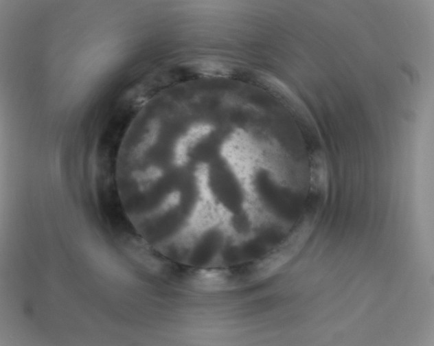 X0000113920573200910090939