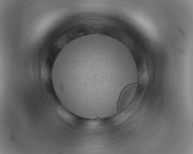 X0000113920574200910090939