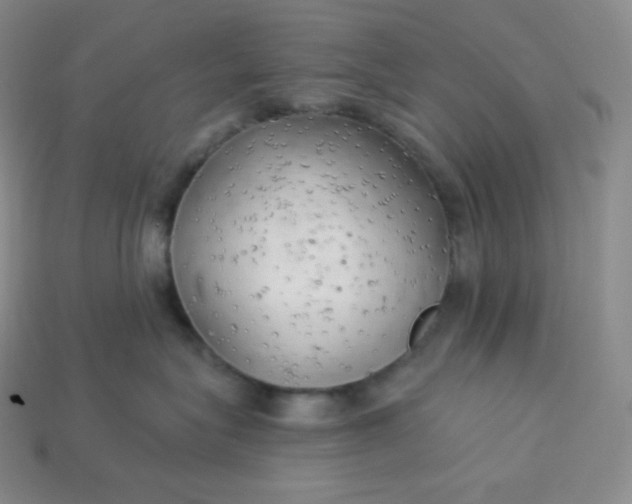 X0000113920575200910090939