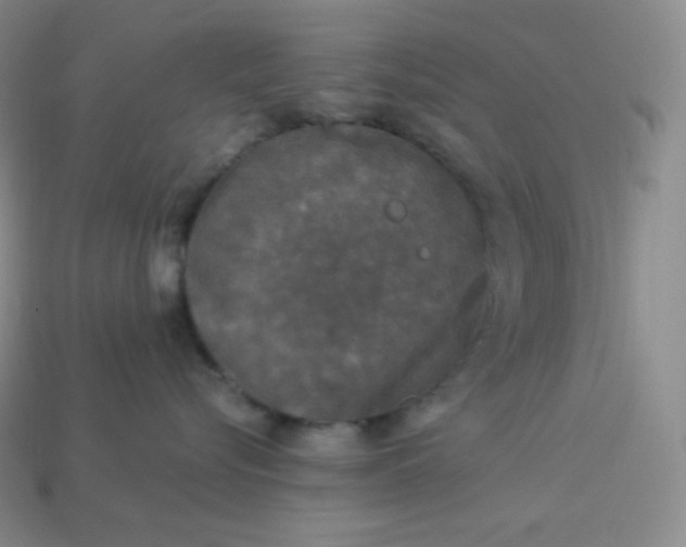 X0000113920576200910090939