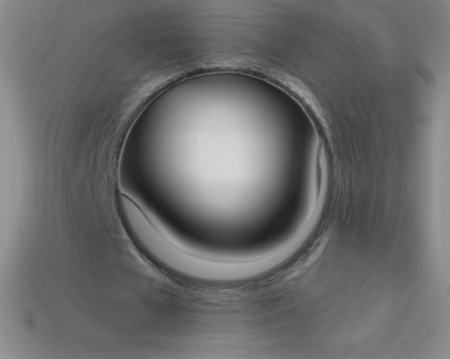 X0000113920577200910090938