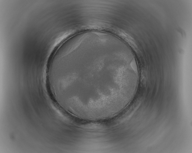 X0000113920578200910090938
