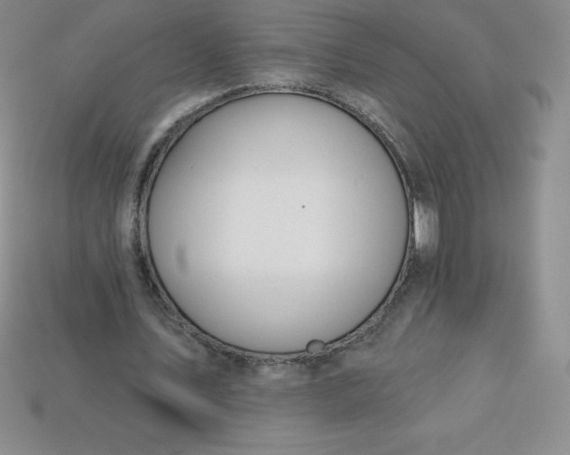X0000113920579200910090938