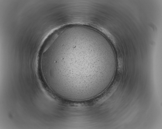 X0000113920580200910090938