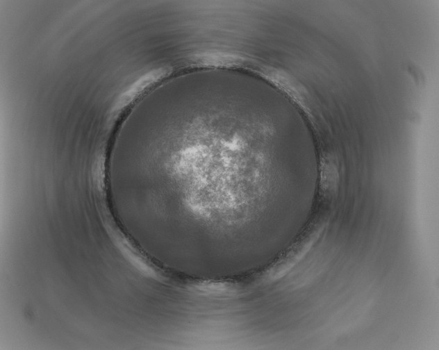 X0000113920581200910090938