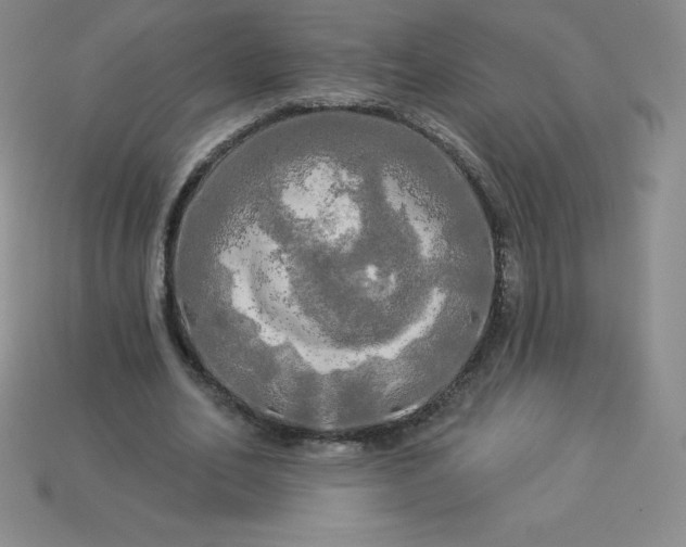 X0000113920582200910090938