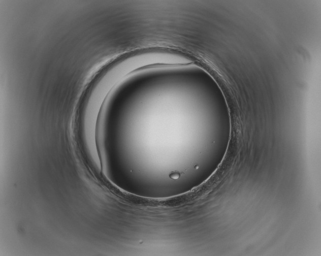 X0000113920583200910090938