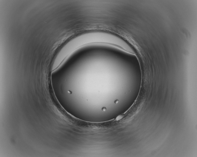 X0000113920585200910090938