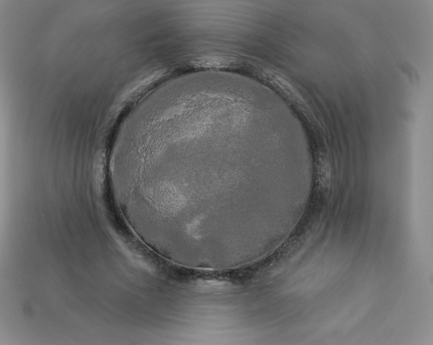 X0000113920586200910090938