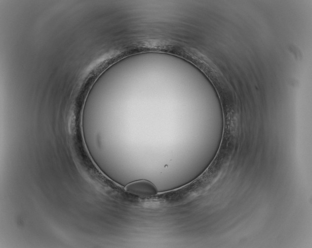 X0000113920587200910090938