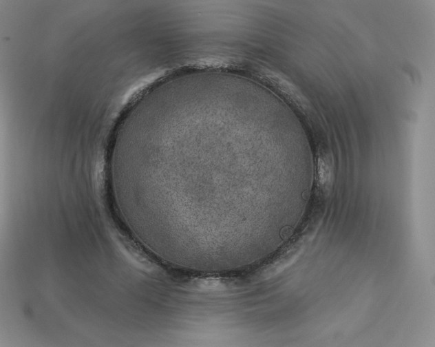 X0000113920588200910090938