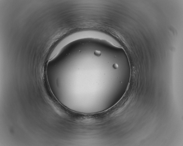 X0000113920589200910090938