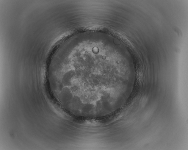 X0000113920591200910090938