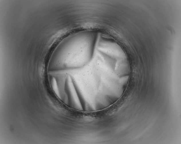 X0000113920592200910090938