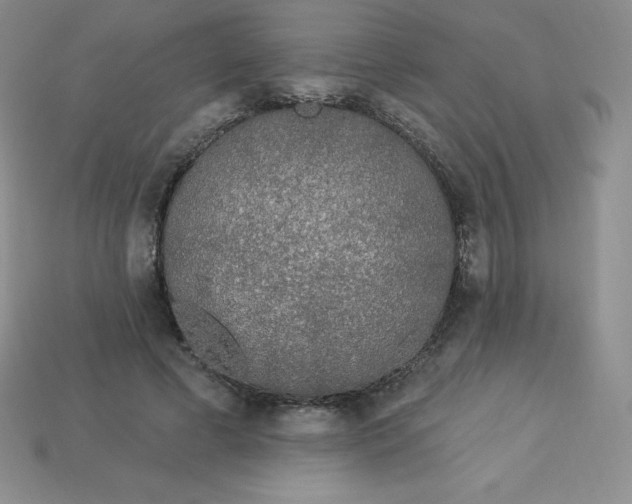X0000113920593200910090938