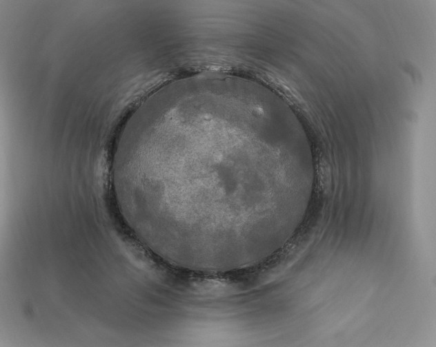 X0000113920594200910090938