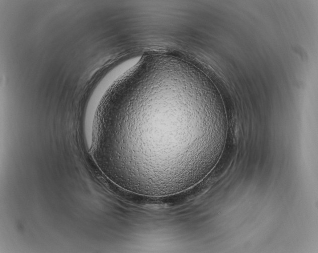 X0000113920595200910090938