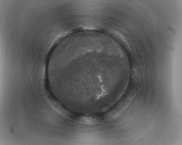 X0000113920596200910090938