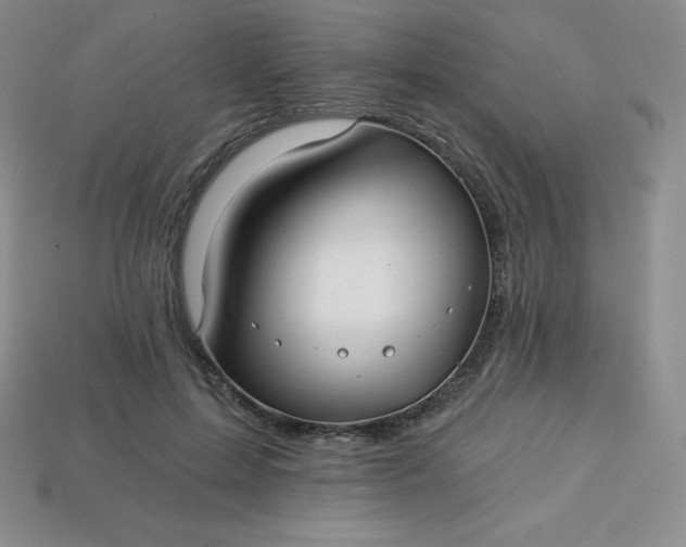 X0000113920599200910090938