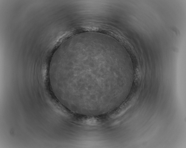 X0000113920600200910090938
