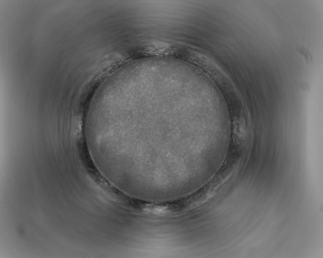 X0000113920602200910090938