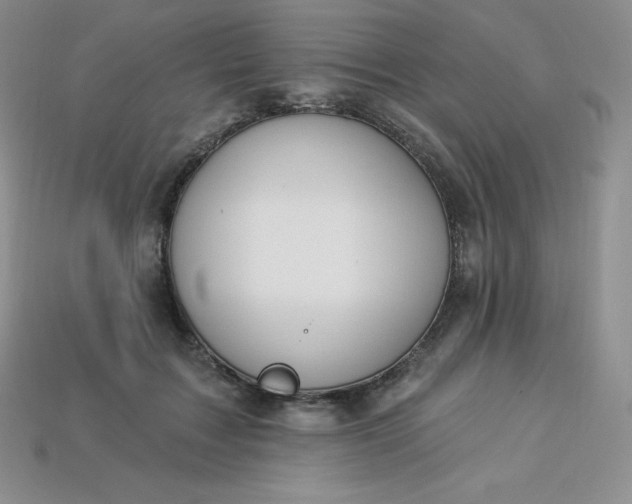X0000113920603200910090938