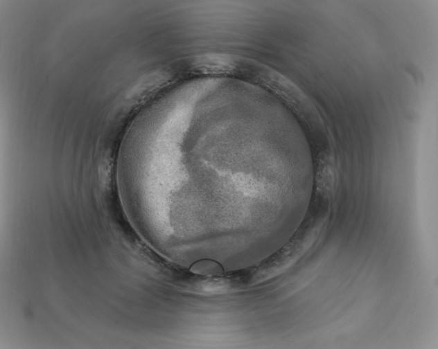 X0000113920604200910090938