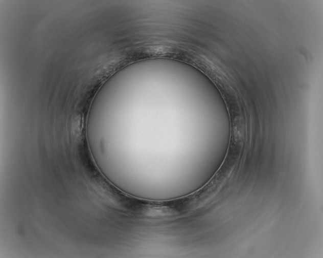 X0000113920605200910090938