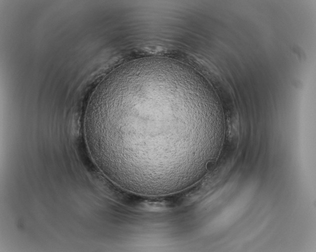 X0000113920606200910090938