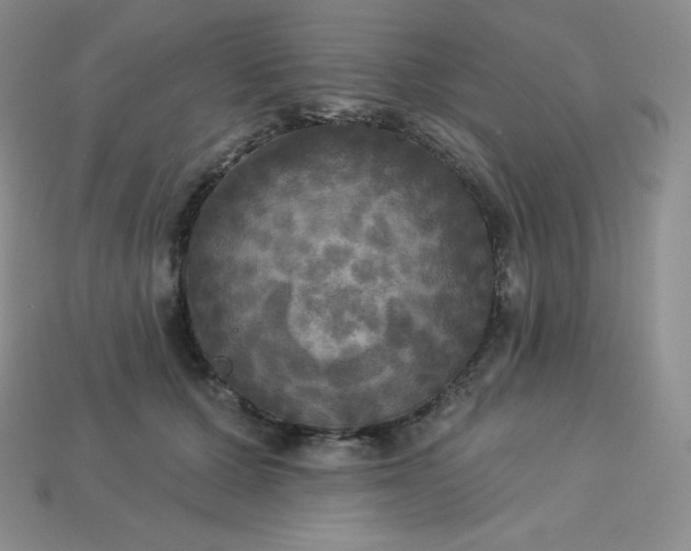 X0000113920607200910090938