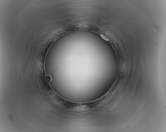 X0000113920609200910090938