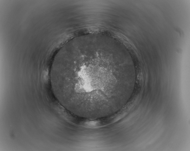 X0000113920610200910090938