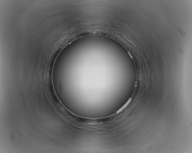 X0000113920611200910090938