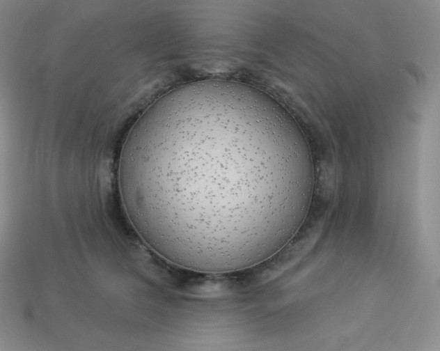X0000113920612200910090938