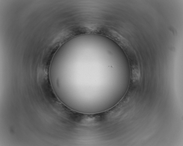 X0000113920613200910090938