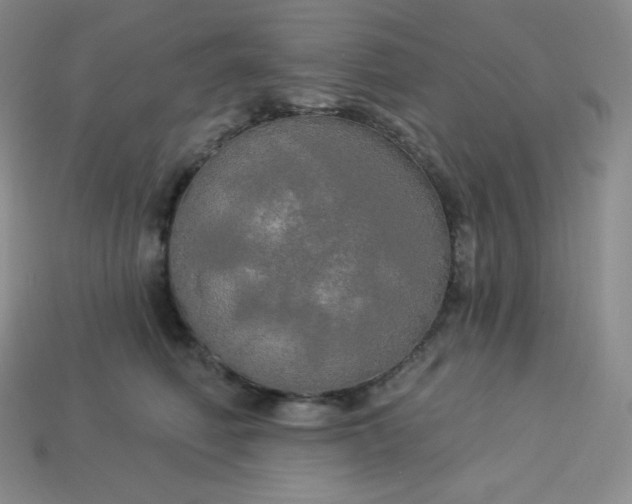 X0000113920614200910090938