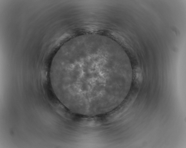 X0000113920615200910090938