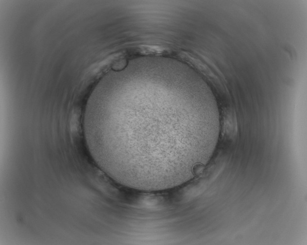 X0000113920616200910090938