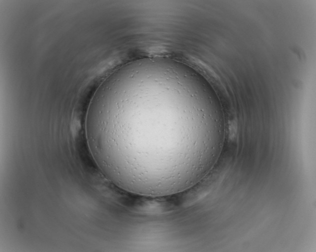 X0000113920618200910090937