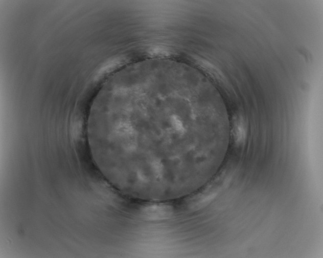 X0000113920619200910090937