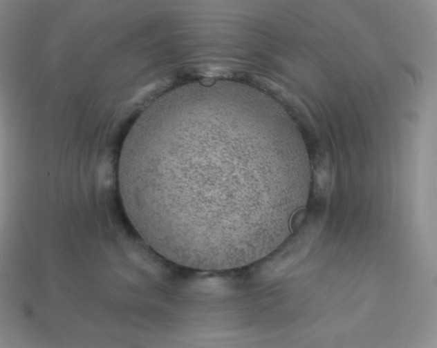 X0000113920620200910090937