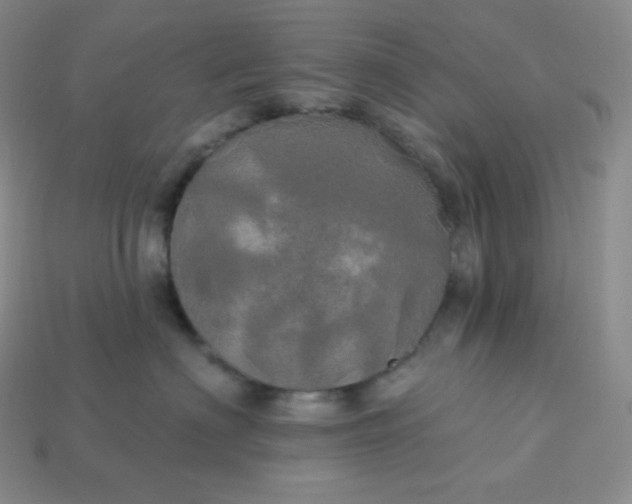 X0000113920622200910090937