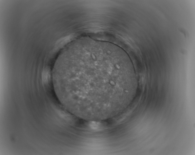 X0000113920623200910090937