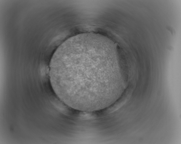 X0000113920624200910090937
