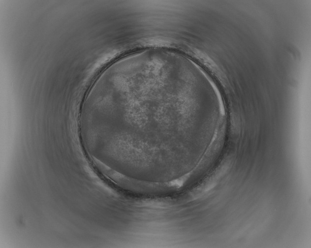 X0000113920625200910090937