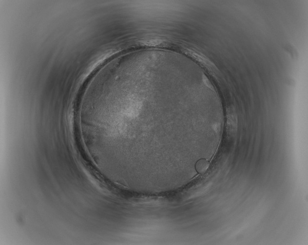 X0000113920626200910090937