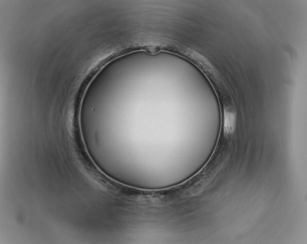 X0000113920627200910090937