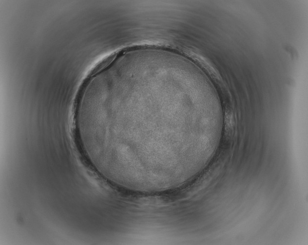 X0000113920628200910090937